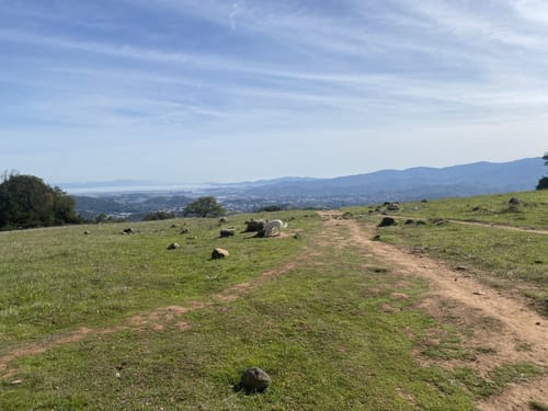 10 Best hikes and trails in Mount Burdell Open Space