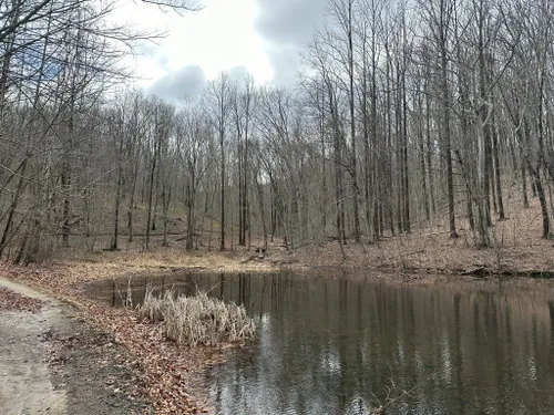 Best Hikes and Trails in Lewis Morris County Park | AllTrails