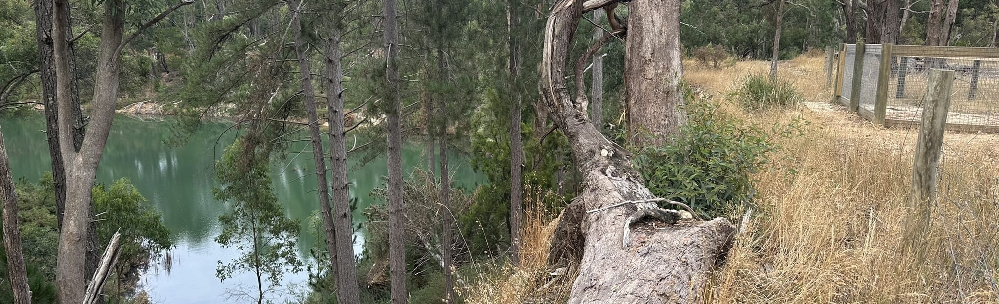 Creswick OffRoad Bike Circuit Map, Guide Victoria, Australia