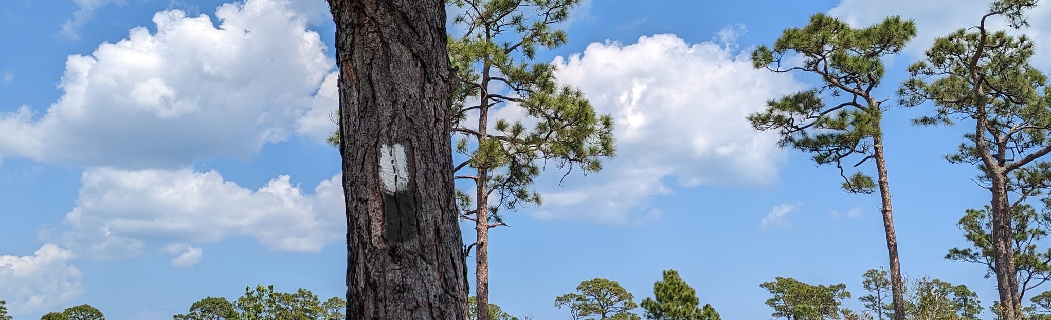 jonathan dickinson state park bike trails