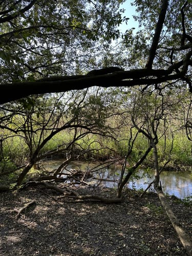 Moreleta Kloof Nature Reserve : les meilleures randonnées en 2023 ...