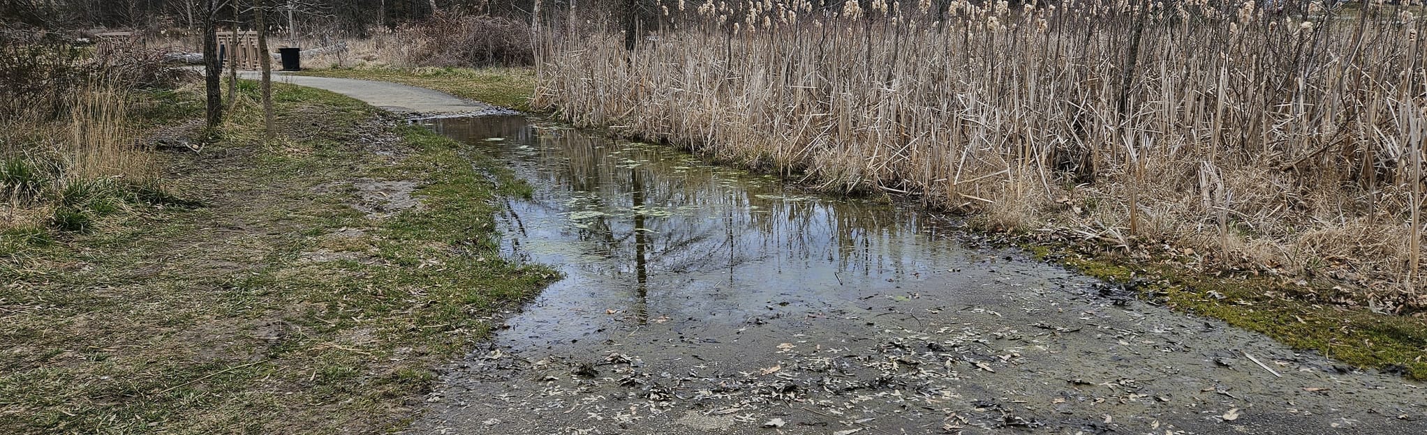 Sudbrook Park, 21 Photos Maryland AllTrails