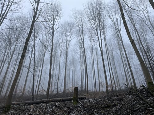 Leutershausen - Heidenloch - Schanzenköpfle