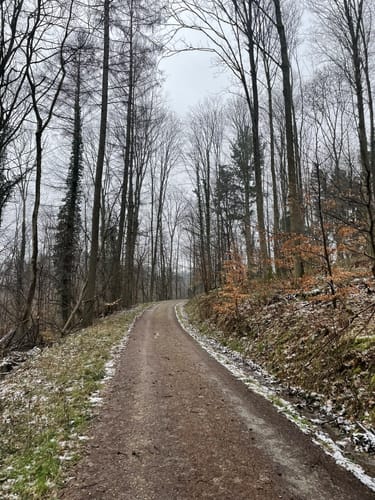 Leutershausen - Heidenloch - Schanzenköpfle