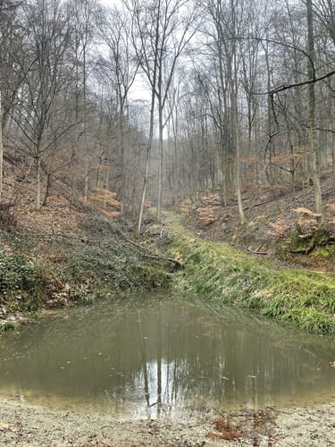 Leutershausen - Heidenloch - Schanzenköpfle