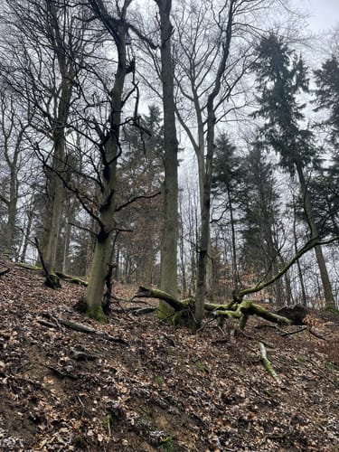 Leutershausen - Heidenloch - Schanzenköpfle