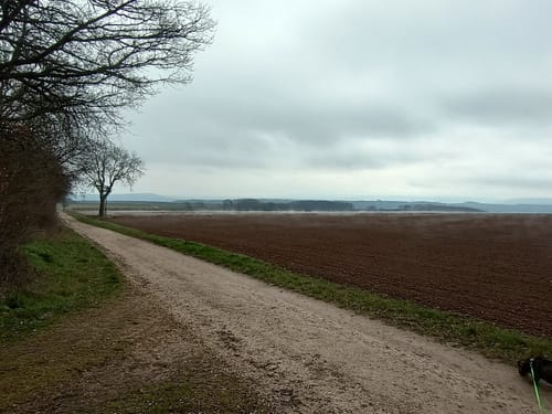 Wald, Wein & Horizonte (Premiumwanderweg)