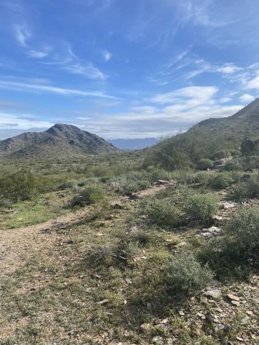 L.V. Yates Trail Loop: 352 Reviews, Map - Arizona