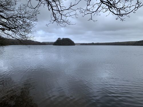 Woman fishing on the bank of Gartmorn Dam in Scotland Stock Photo - Alamy