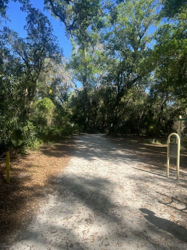 Best Hikes and Trails in Maitland Community Park | AllTrails