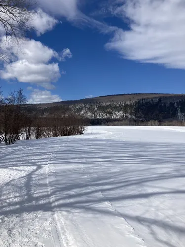 2023 Best Wildlife Trails in SaintLouisdeGonzagueduCapTourmente