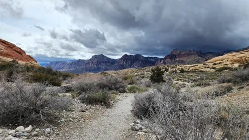 The 8 Best Hiking Trails In Las Vegas And Surrounding Areas