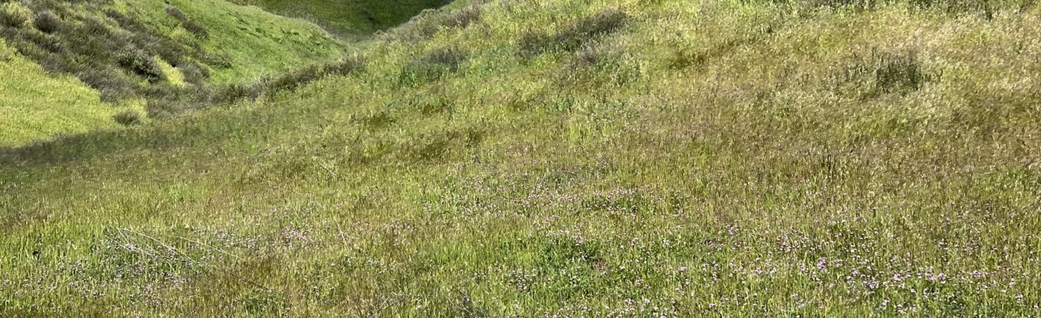 Val Verde Community Regional Park 28 Reviews, Map California AllTrails