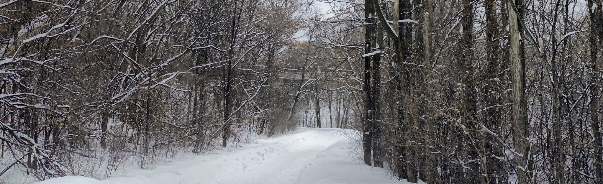 Trout Brook Regional Trail 21 Reviews, Map Minnesota AllTrails