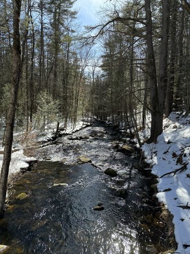 brooks woodland preserve