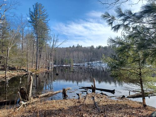 Best Hikes and Trails in Gumpas Pond Conservation Area | AllTrails