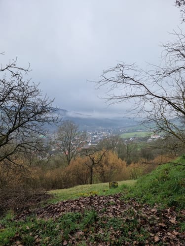 Edingen - Ralingen (Naturpark Südeifel Nr. 69)