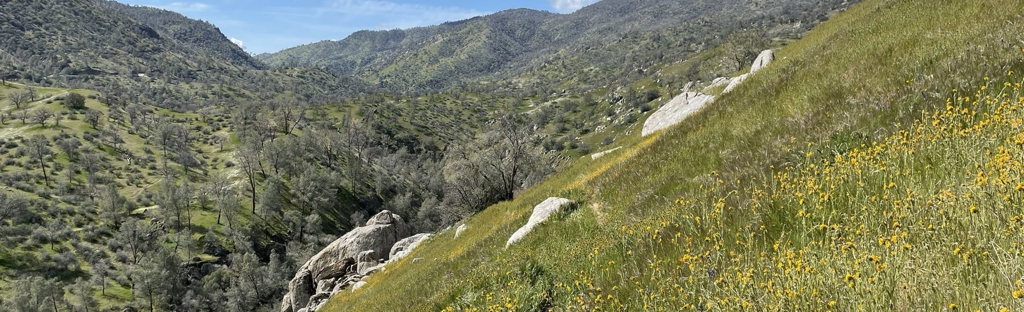 Kern River Trail 252 Reviews, Map California AllTrails