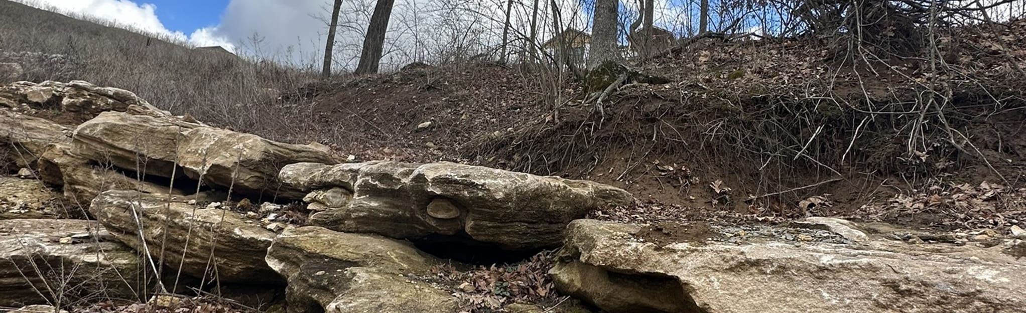 Breckenridge Park Trail, Missouri 27 Reviews, Map AllTrails