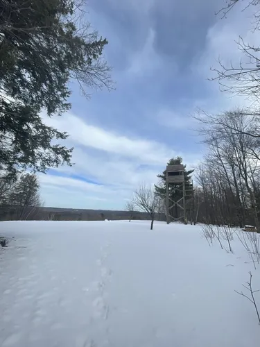 Norbrook farm mountain online bike trails