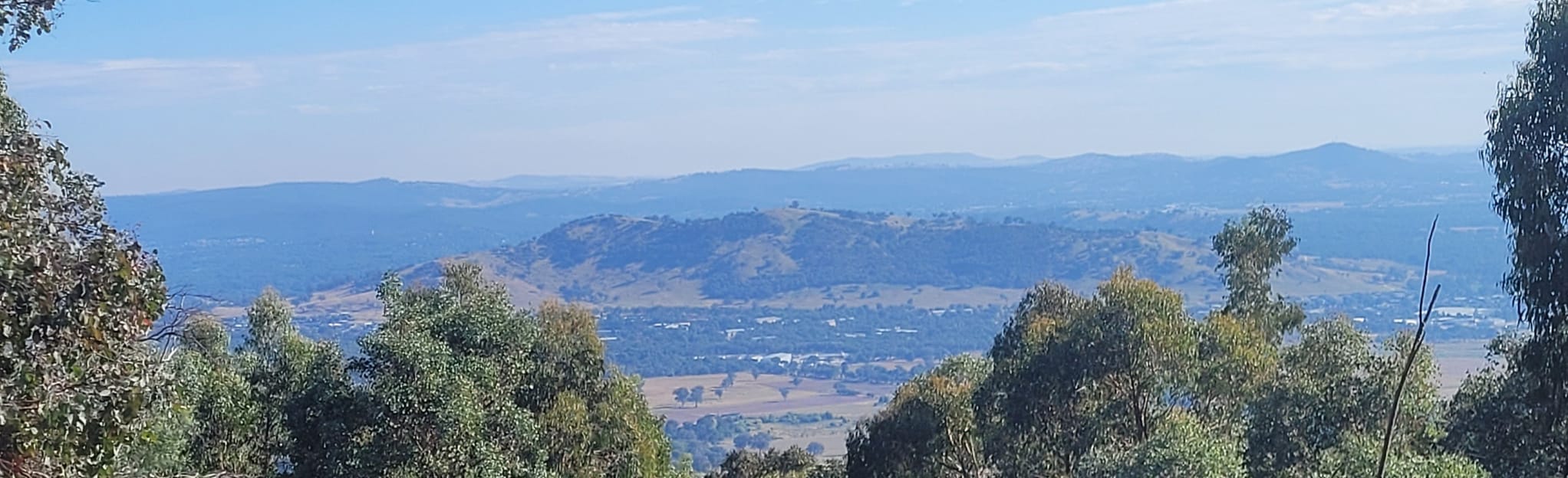 AllTrails Baranduda Range Saddle Track 19 Reviews, Map Victoria