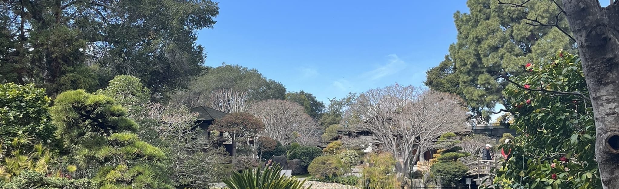 San Mateo Japanese Garden, California 92 Reviews, Map AllTrails