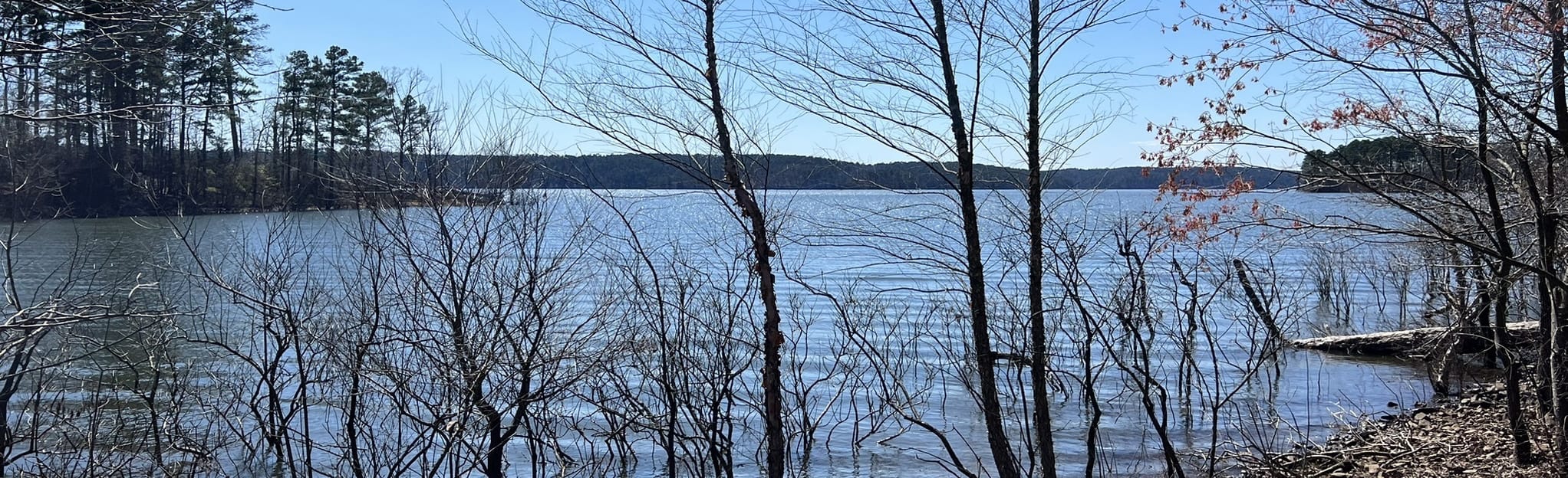 DeGray Lake Island Trail, Arkansas 186 Reviews, Map AllTrails