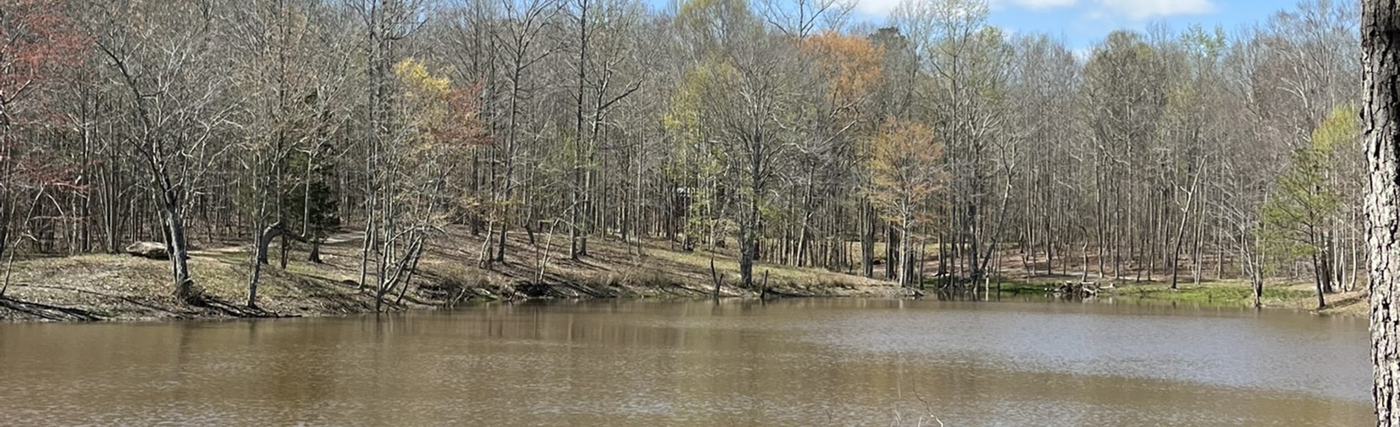 AllTrails Little Tallapoosa Park Trail 176 Reviews, Map