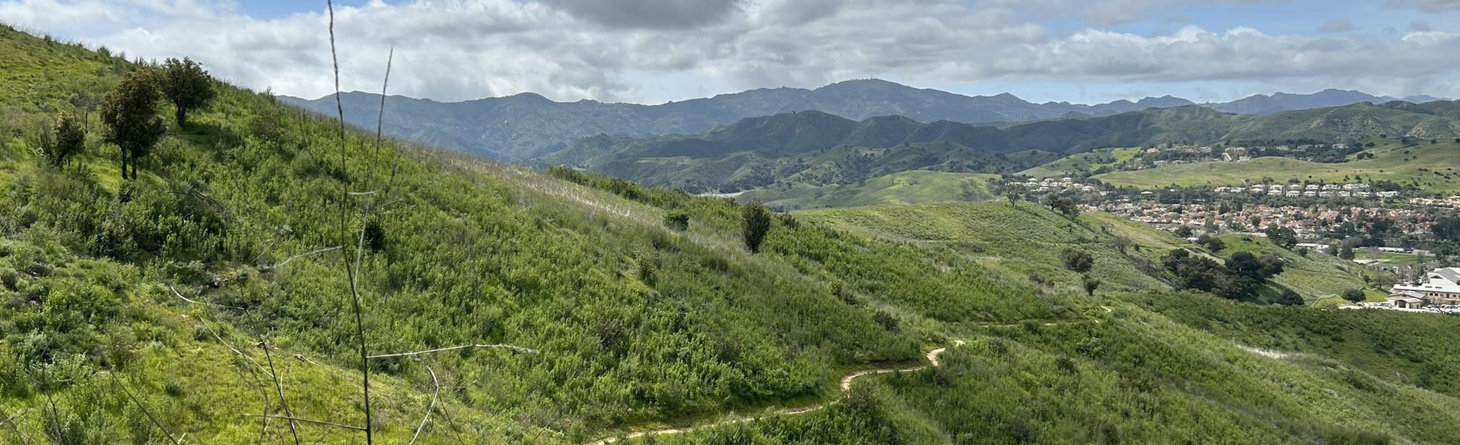 Bark Park Trail 262 Fotos Califórnia AllTrails