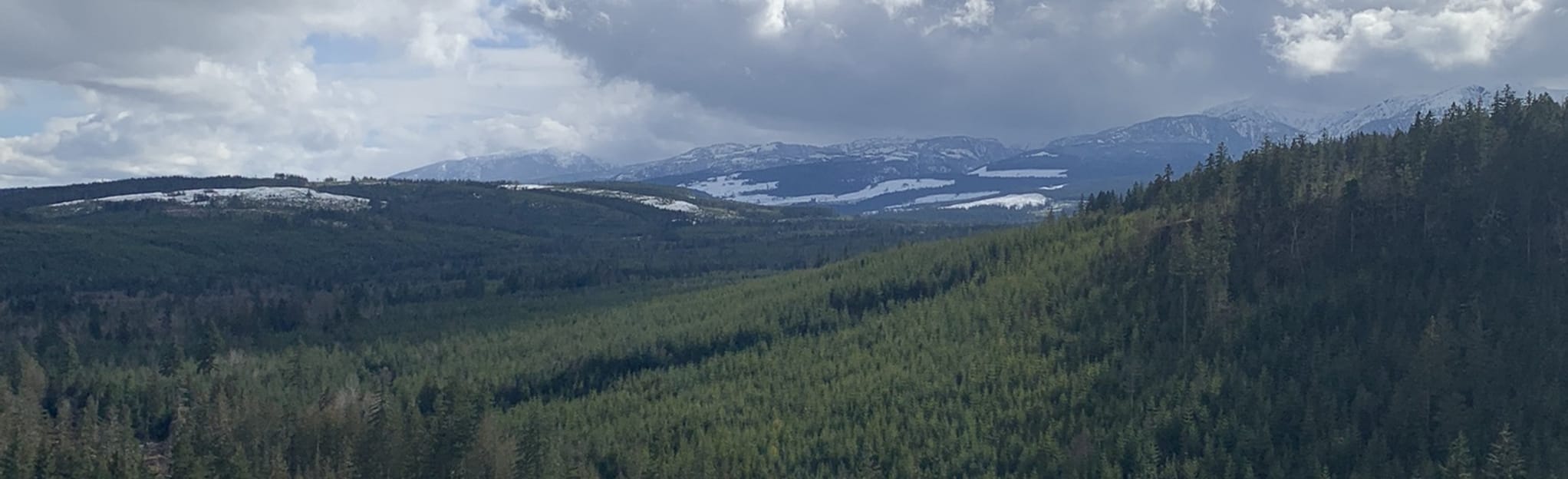 Davis Lake Main, Rug Burn, Allen Lake Main, and Tophat Trail 137 foto Columbia Britannica