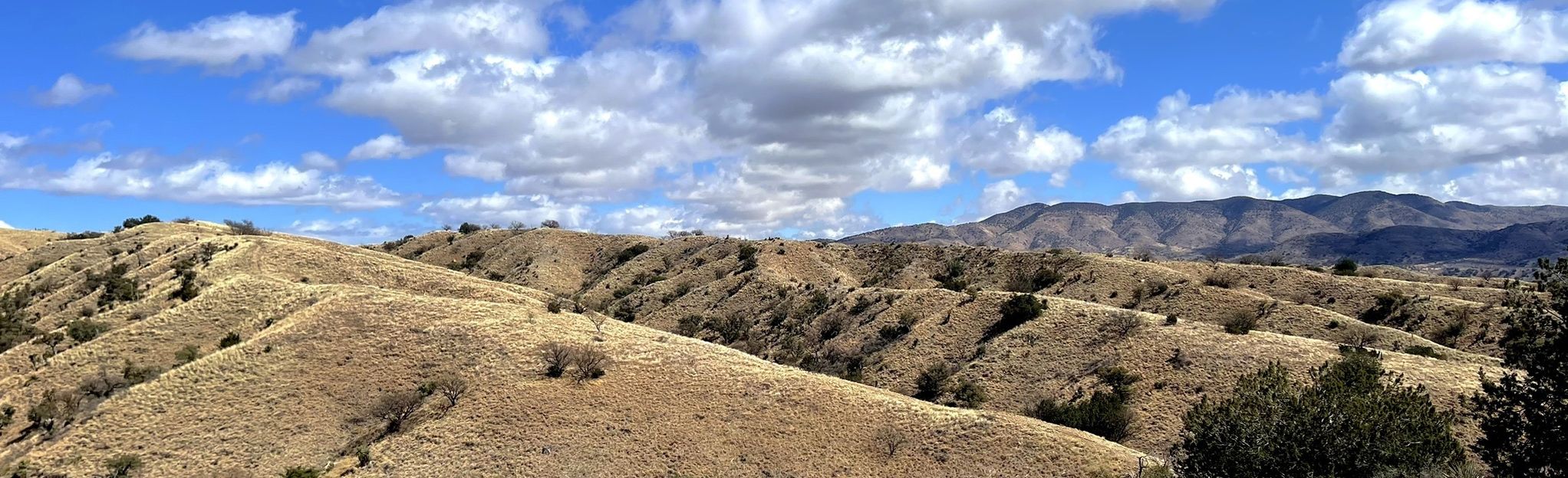 arizona-trail-passage-4-temporal-gulch-arizona-44-reviews-map