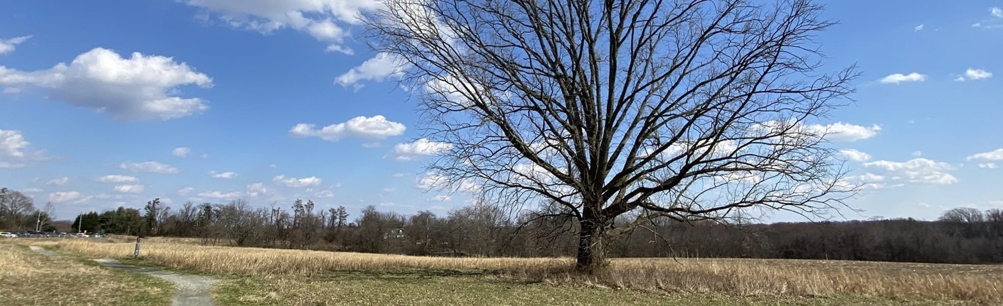 Bryan's Field and Whitley Farms Trail, Delaware 575 Reviews, Map AllTrails