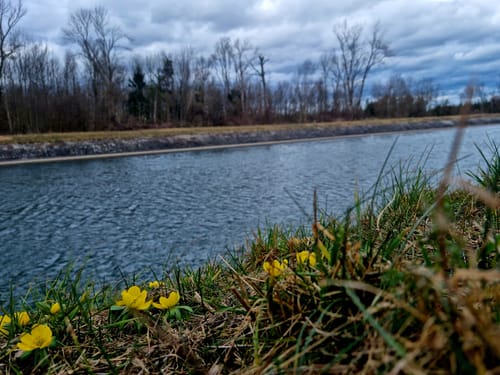Moosburger Stausee - Echinger Stausee