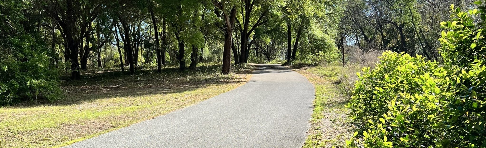 South Lake Trail, Florida - 358 Reviews, Map | AllTrails