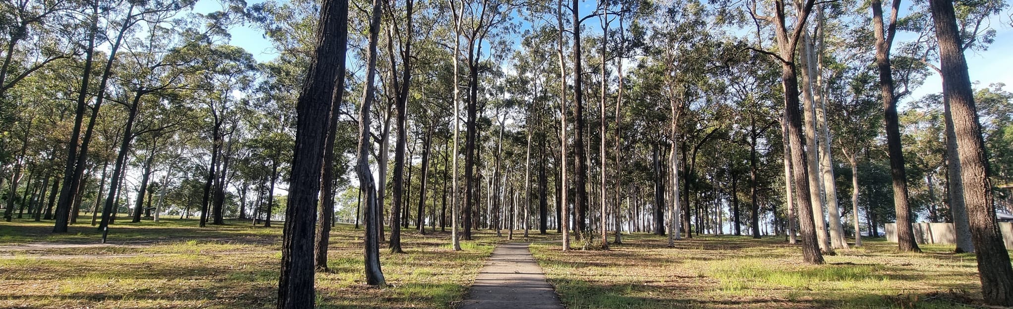 Logan Gardens, 1 Fotos Queensland, Australien AllTrails