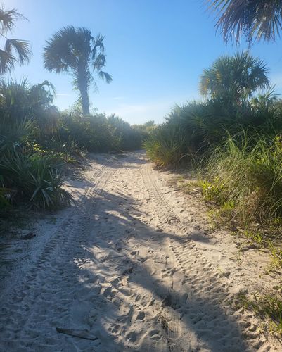 Best Hikes and Trails in Smyrna Dunes Park | AllTrails