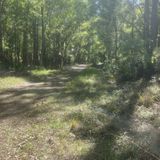 Morris Bridge Park, Florida - 573 Reviews, Map | AllTrails