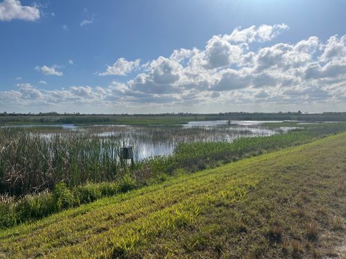 Best Hikes and Trails in Ritch Grissom Memorial Wetlands at Viera ...