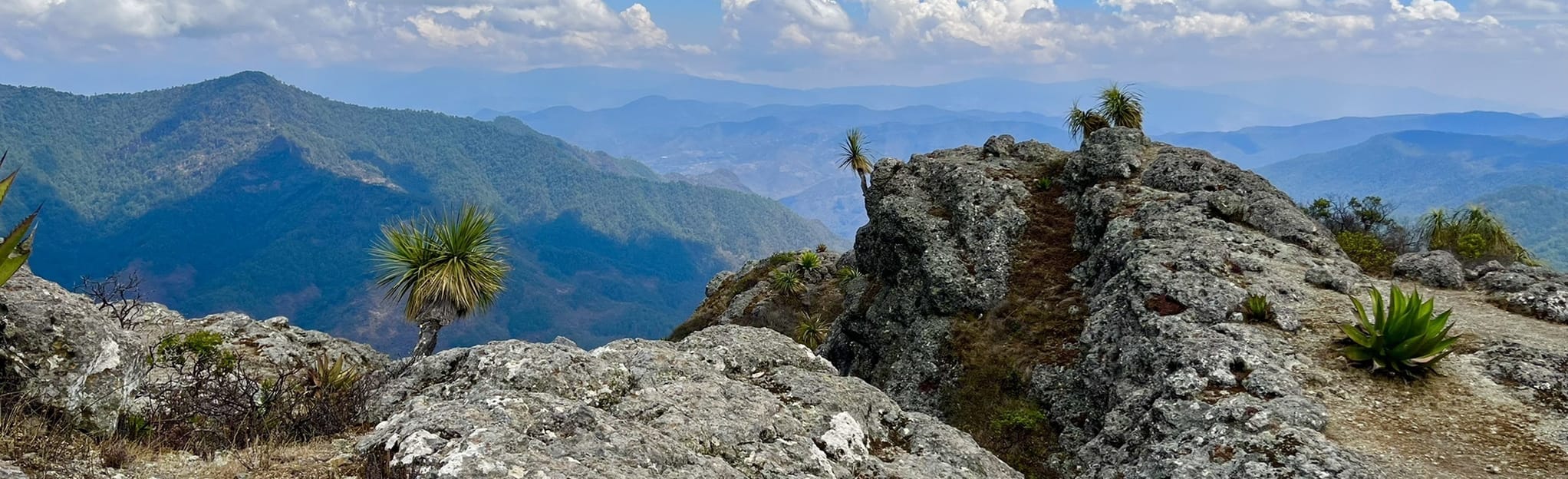 San Miguel Del Valle, Oaxaca, Mexico Map, Guide AllTrails