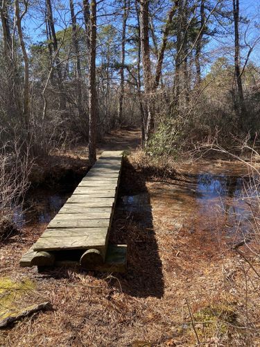 Best Hikes and Trails in Pine Barrens | AllTrails