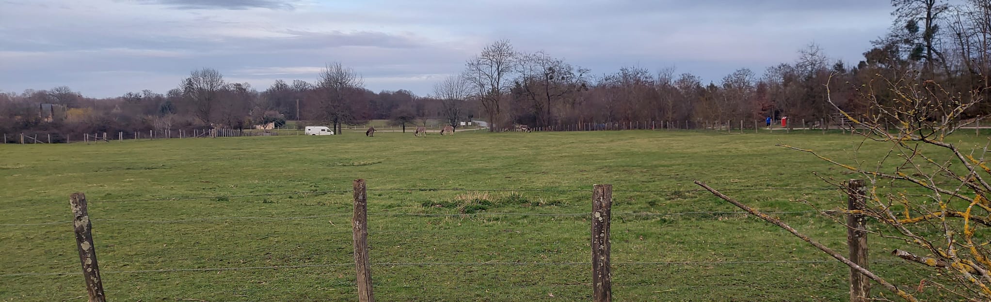 Circuit de la Ferme de la Prairie 24 Reviews, Map Sarthe, France AllTrails