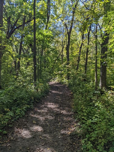 Escape to the Wild: Iowa's Brushy Creek State Recreation Area