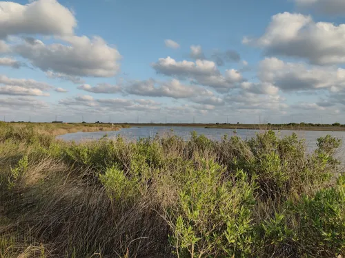 10 Best Trails and Hikes in Galveston | AllTrails