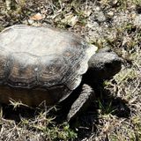 Anastasia State Park Marsh Trail, Florida - 181 Reviews, Map | AllTrails