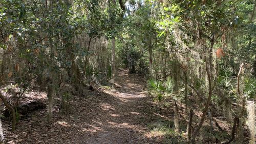 Willow Pond Nature Trail, Florida - 145 Reviews, Map