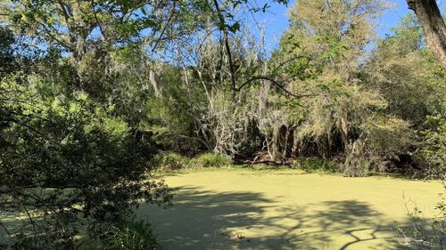 Willow Pond Nature Trail, Florida - 145 Reviews, Map