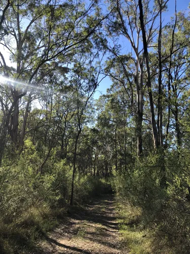 Best Hikes and Trails in Scheyville National Park AllTrails