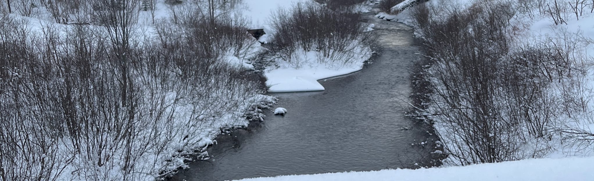 Rough Waters Trail, New Brunswick, Canada Map, Guide AllTrails