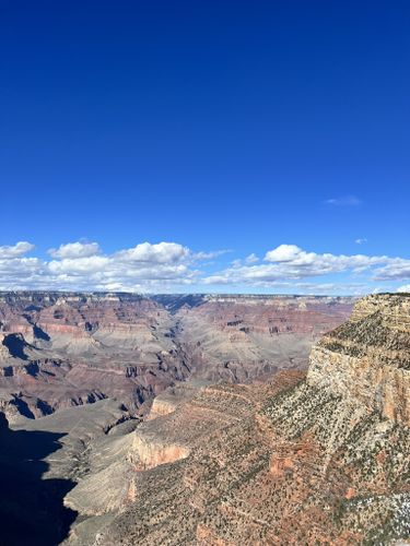 are dogs allowed in grand canyon