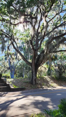 Best Hikes and Trails in Safety Harbor Waterfront Park | AllTrails